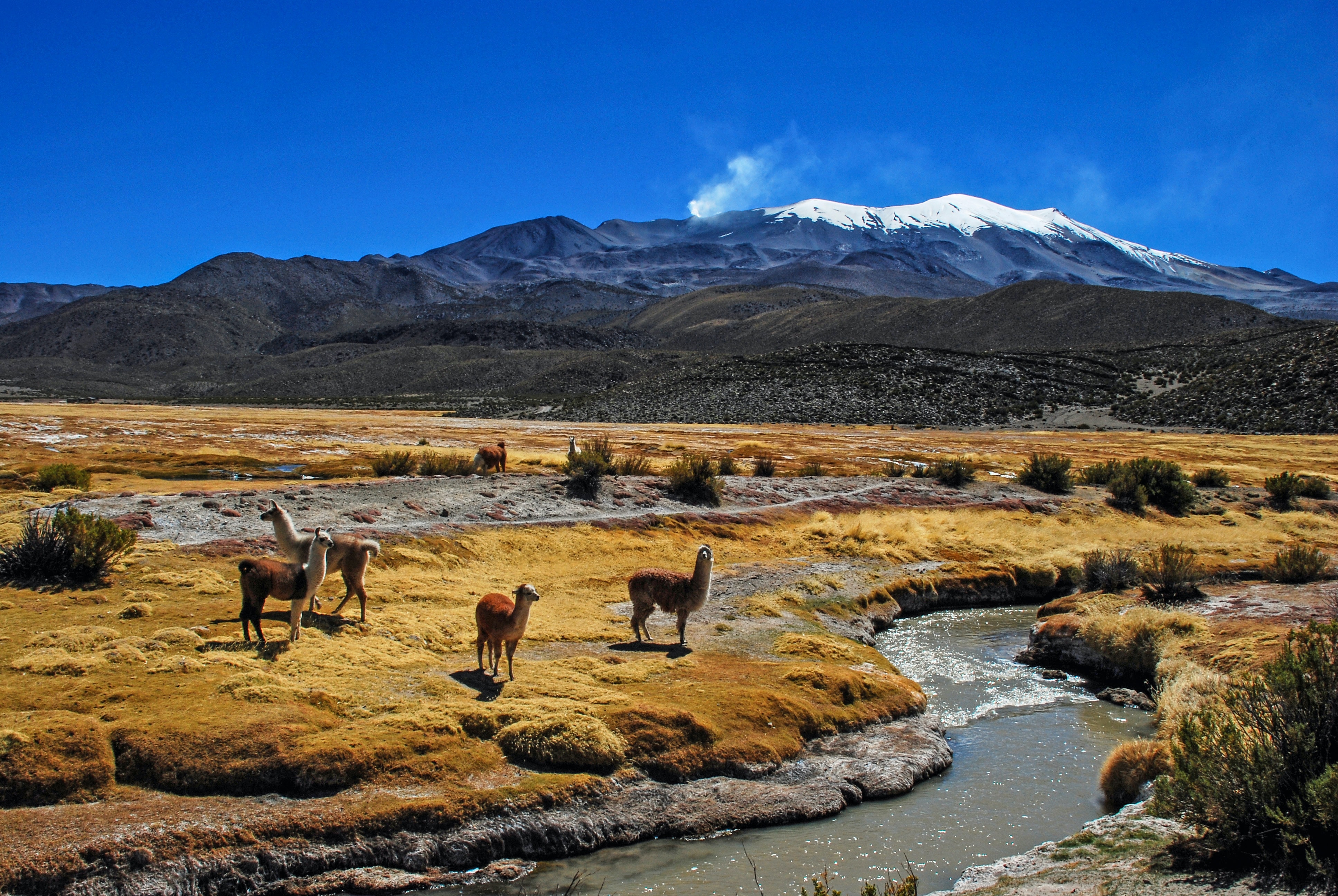 Bolivia